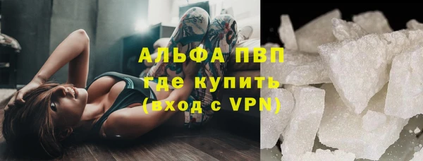 ПСИЛОЦИБИНОВЫЕ ГРИБЫ Белокуриха