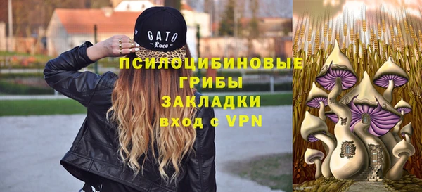 первитин Балахна