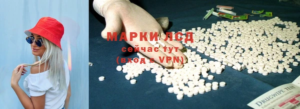ПСИЛОЦИБИНОВЫЕ ГРИБЫ Белокуриха