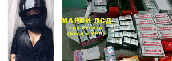 крисы Надым