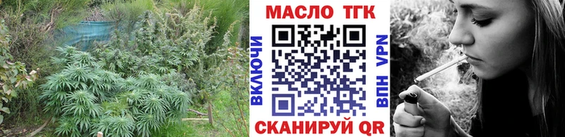 мега   Невьянск  ТГК THC oil 